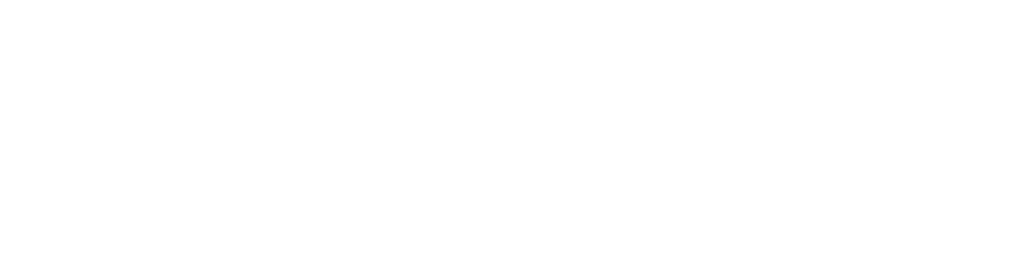 TrustPoint Strategic Solutions